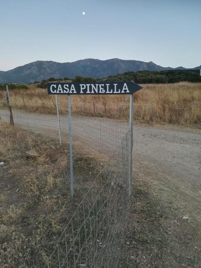 Casa Pinella Βίλα Villamassargia Εξωτερικό φωτογραφία