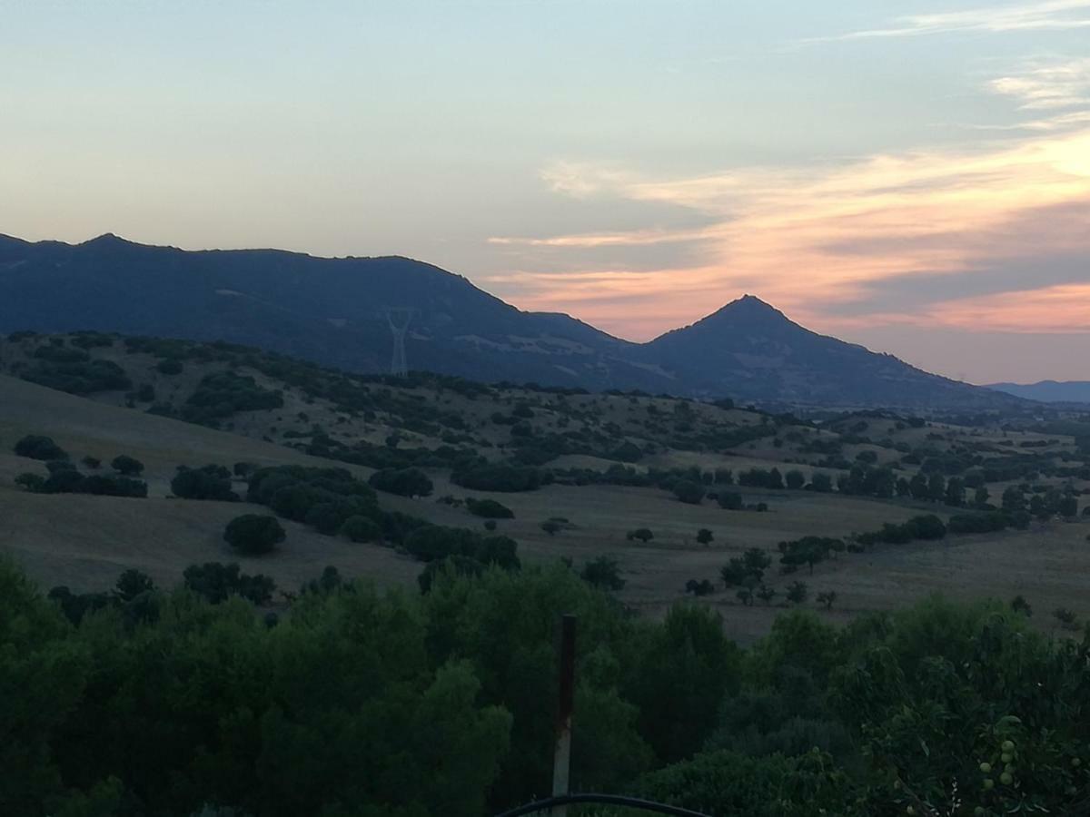 Casa Pinella Βίλα Villamassargia Εξωτερικό φωτογραφία