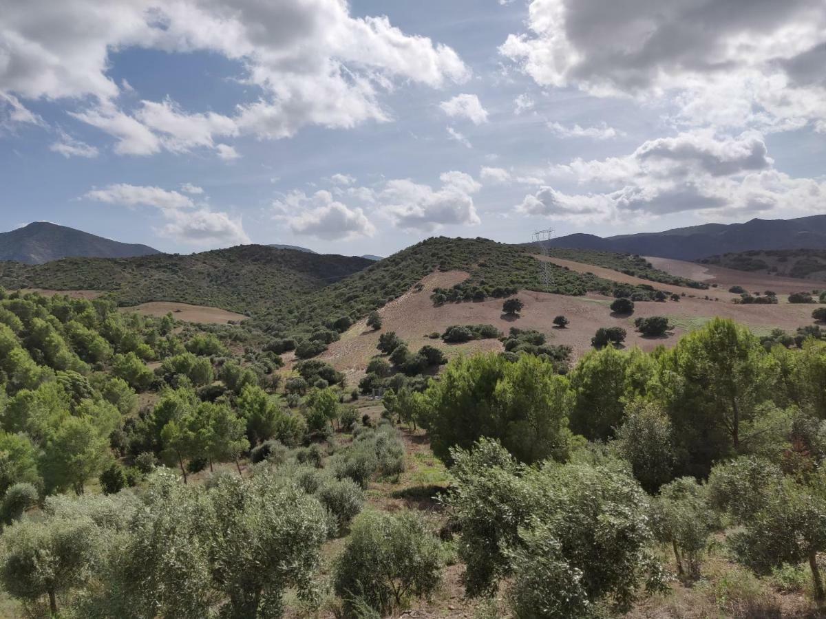 Casa Pinella Βίλα Villamassargia Εξωτερικό φωτογραφία